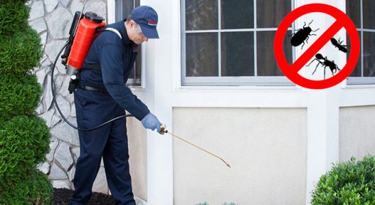 Pendik Dezenfeksiyon böcek ilaçlama ve haşere kontrolü — ilaclama-tr.com